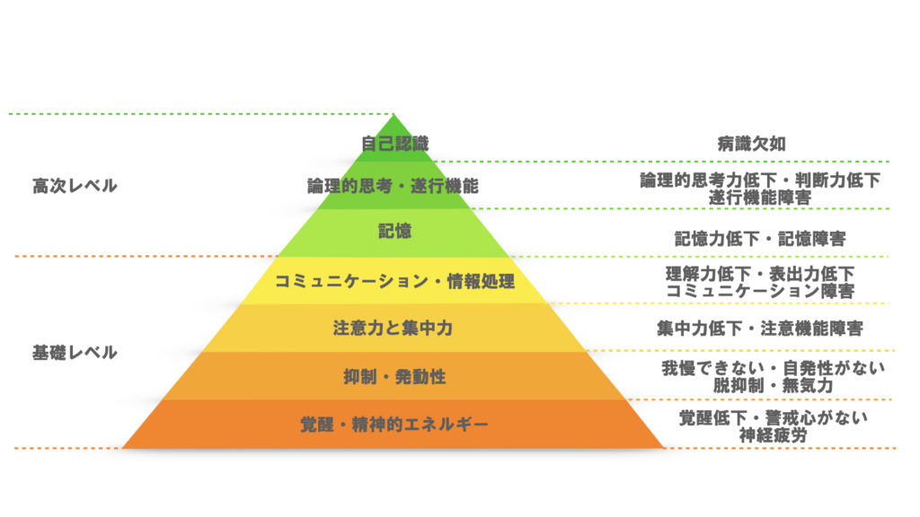 神経心理ピラミッド
